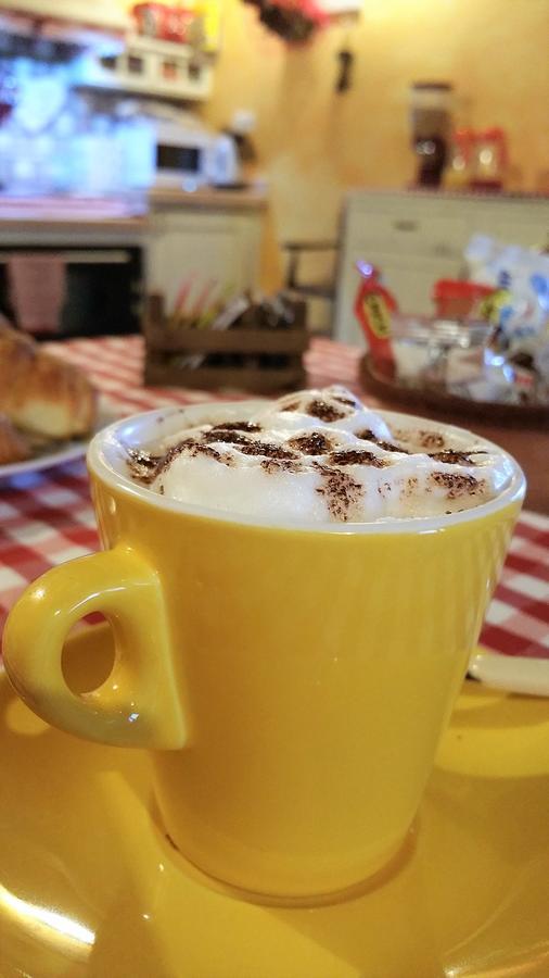 La Casa Delle Rondini Bed & Breakfast Roncoferraro Dış mekan fotoğraf