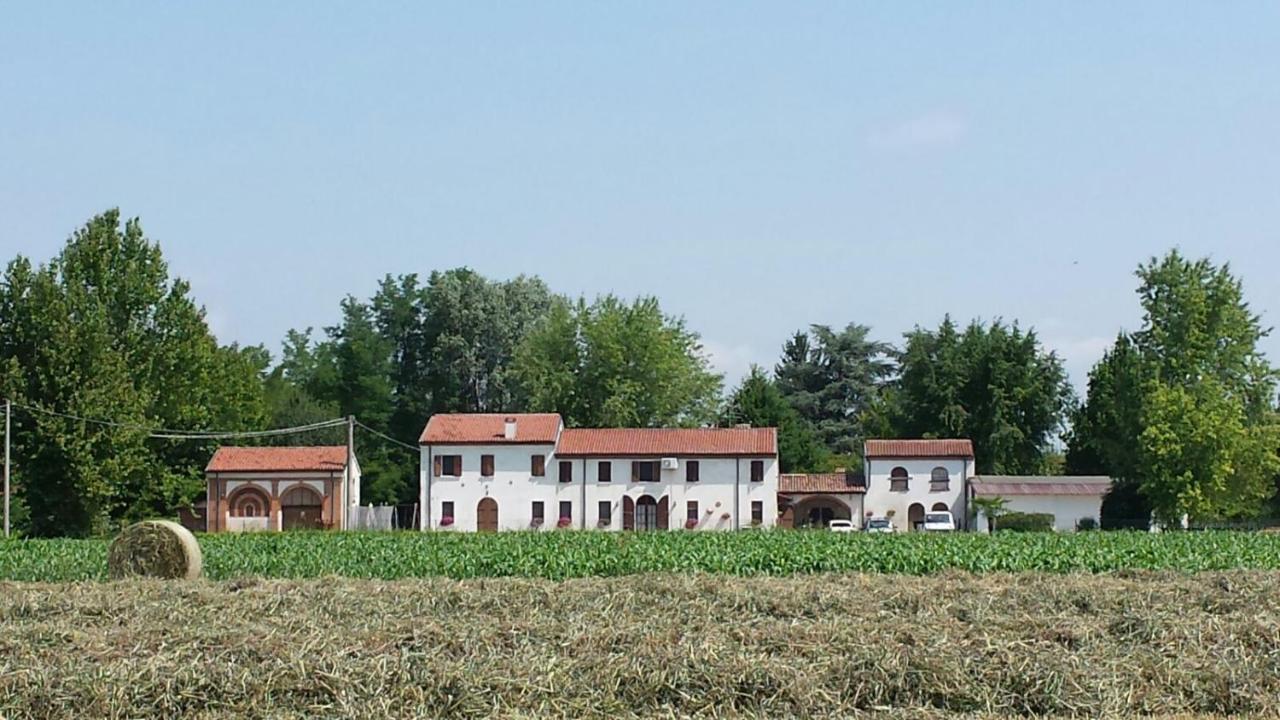 La Casa Delle Rondini Bed & Breakfast Roncoferraro Dış mekan fotoğraf